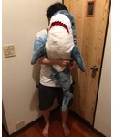 サメ🦈の「雑貨/ホビー(フィギュア)」