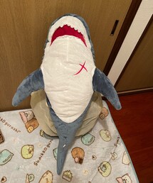 新しいサメ🦈🩹 | ベルト