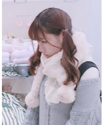 franchelippee | マフラー