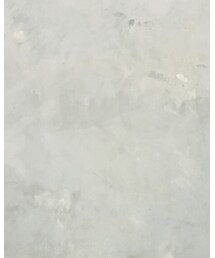 FOREVER 21 | その他トップス