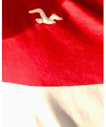 Hollister | Tシャツ/カットソー