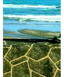 UNIQLO | デニムパンツ