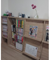 趣味棚 | 家具