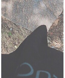 dean&deluca | エコバッグ/サブバッグ