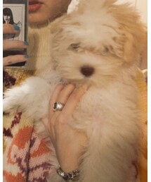 おジジ | その他