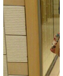 LeSportsac | バッグ