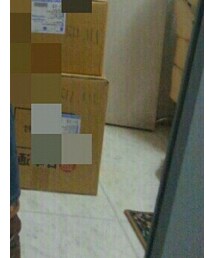 不明 | シューズ