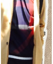 BLACK LABEL CRESTBRIDGE | パーカー
