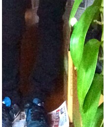 SOYOUS | その他パンツ