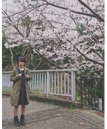 🌸🌸🌸 | その他