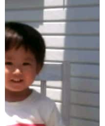 CHUMS | Tシャツ/カットソー