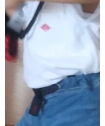 DANTON | Tシャツ/カットソー