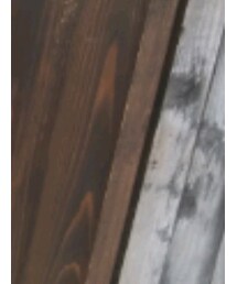 THE NORTH FACE | Tシャツ/カットソー