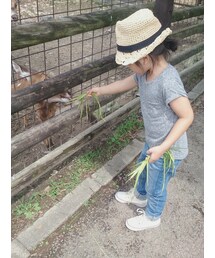 korea | トップス