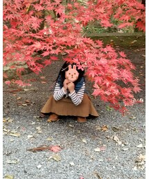 紅葉🍁 | その他