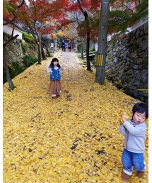 いちょう投げ❗ | その他