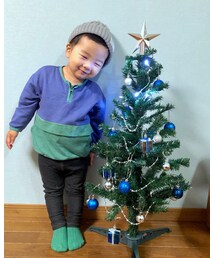 🎄 | その他