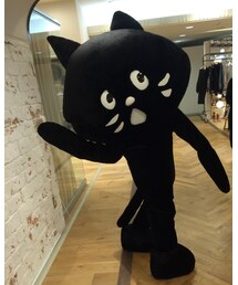 にゃー | その他