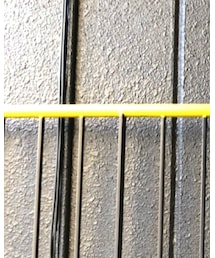 DIANA | パンプス