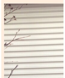 ベビーロン | ニット/セーター