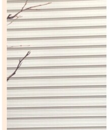 Jessica Simpson | ブーティ