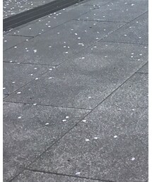 PLST | チノパンツ