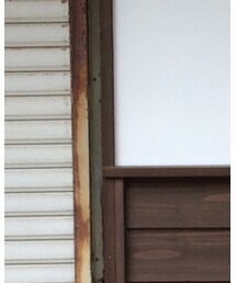 SLOBE IENA | ワンピース