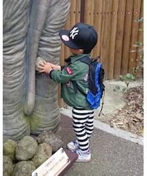 🐘動物園🐘 | その他