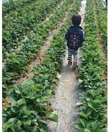 ANAP | シャツ/ブラウス