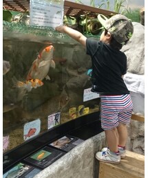 Birthday | パンツ