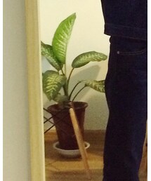 UNIQLO | デニムパンツ