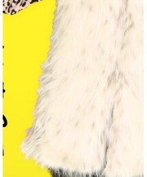 ZARA | その他アウター