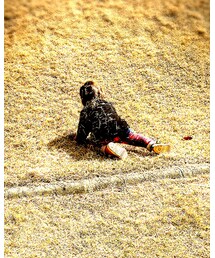 わらまみれ | その他