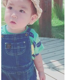 西松屋 | Tシャツ/カットソー