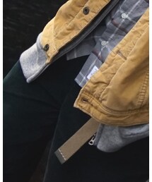 Carhartt | ベルト