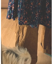 UNIQLO | スラックス