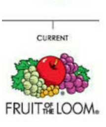 FRUIT OF THE LOOM | Tシャツ/カットソー