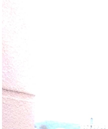 patagonia | その他アウター