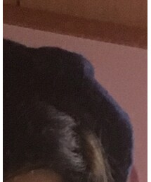 Last virgin | ハンチング/ベレー帽