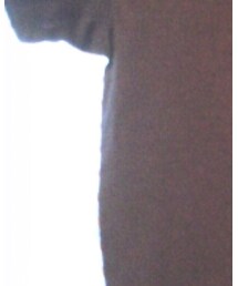 BEAMS | Tシャツ/カットソー