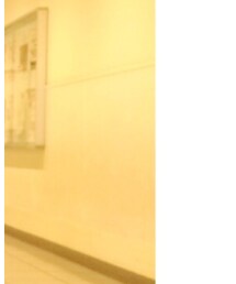 earth music&ecology | チェスターコート