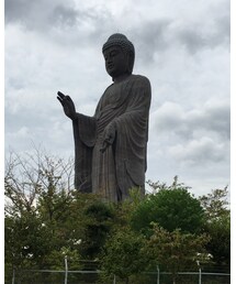 牛久大仏 | その他