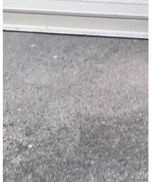 Tabio | レッグウェア