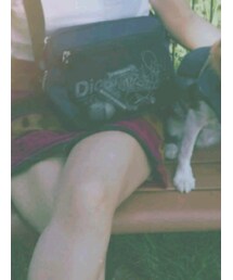 Dickies | ショルダーバッグ