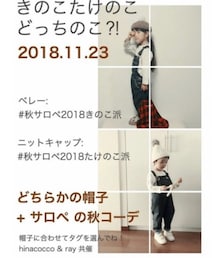 きのこたけのこどっちのこ⁉︎ | その他