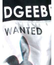 ANDGEEBEE | Tシャツ/カットソー