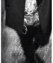 PRADA | ストール/ショール