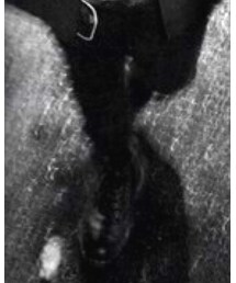 Dr. Martens | ブーツ