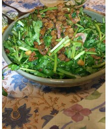 パクチー | 食器