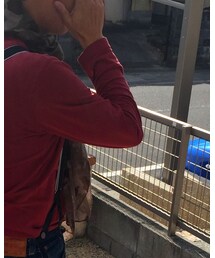 Paul Smith COLLECTION | Tシャツ/カットソー